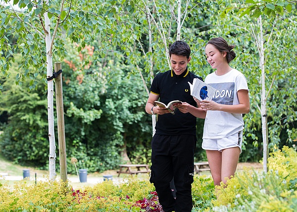 緑豊かなな公園で教科書を開く学生たち